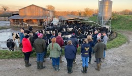 Applications open for dairy entrepreneurs